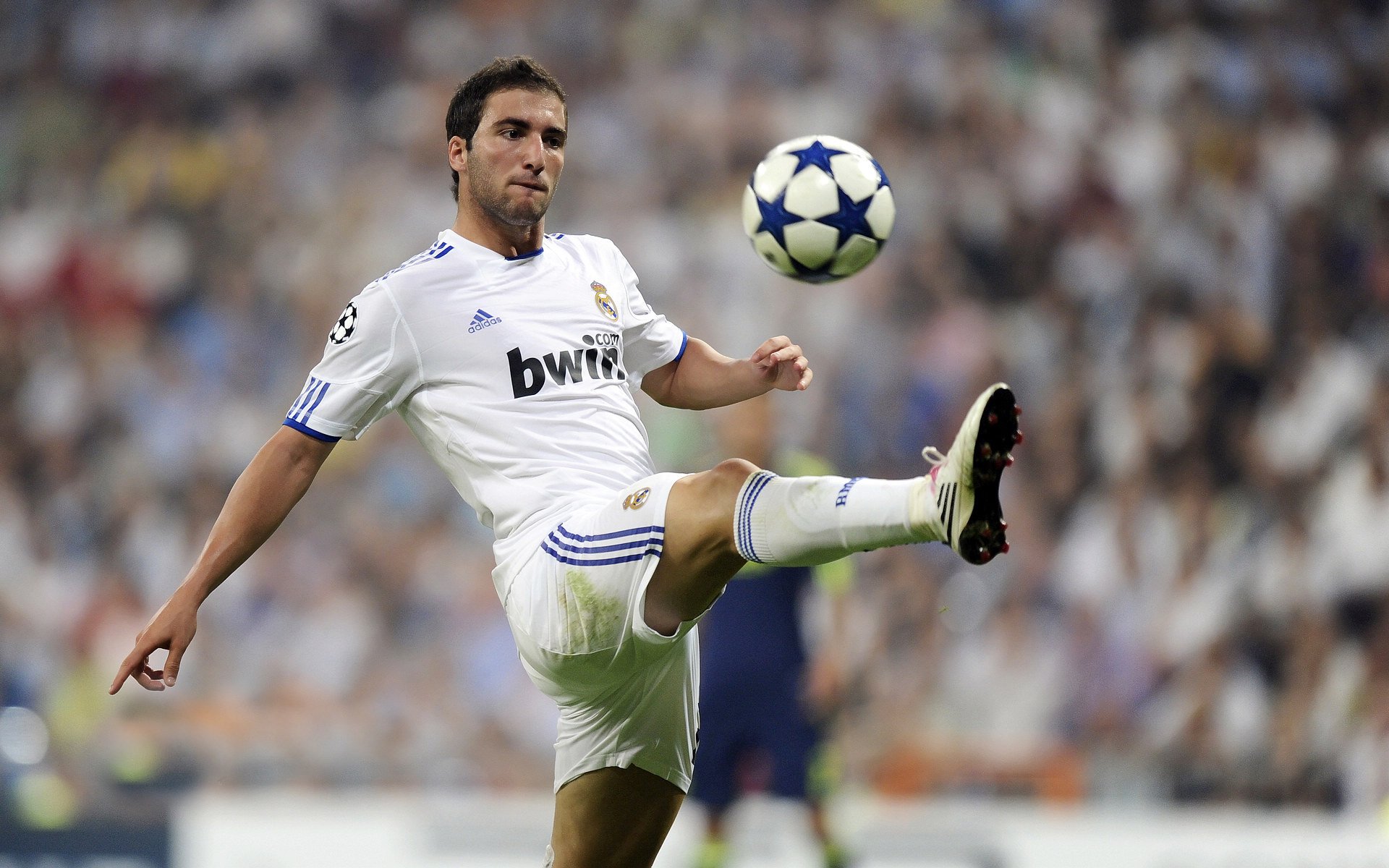 _运动员日常：训练、休闲、互动全纪录_，运动员的日常